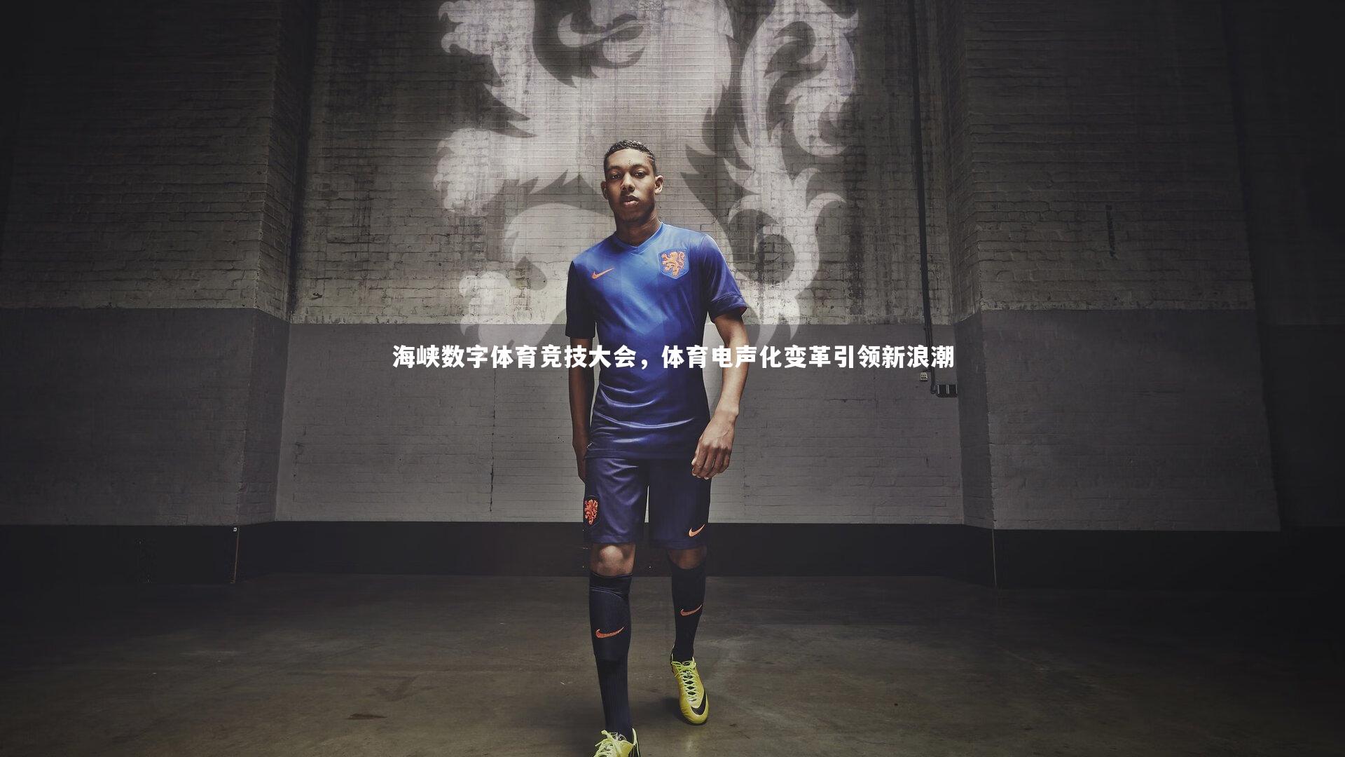 ng体育-海峡数字体育竞技大会，体育电声化变革引领新浪潮